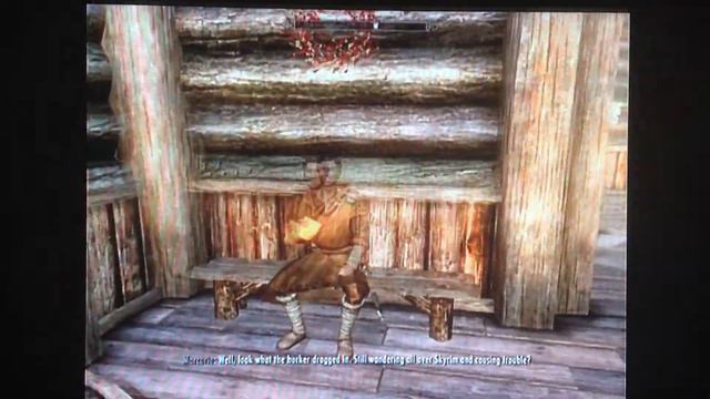 Skyrim: best male Mage follower