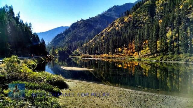 Mysteries of nature  Part 5  Relaxing music Sleepy music the forest dream nature sounds flute Calm