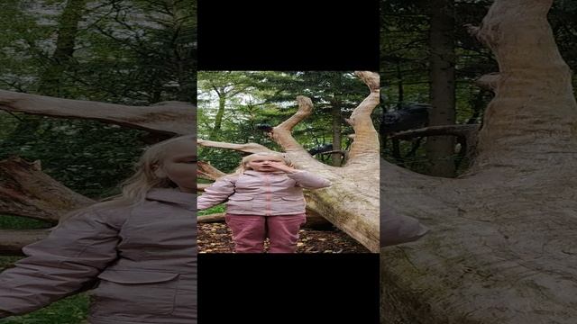 4.mp4