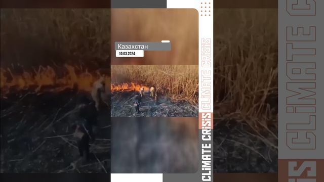 Сильные пожары в Казахстане