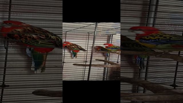 E632aa63e41f29b5c0c2cb389029b5e5