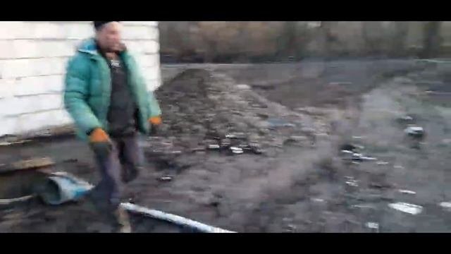 Навозоудаление в сарае. Свиноводство.