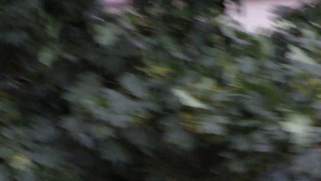 Canon Powershot SX510 HS - Full HD Video Test (Rainbow)