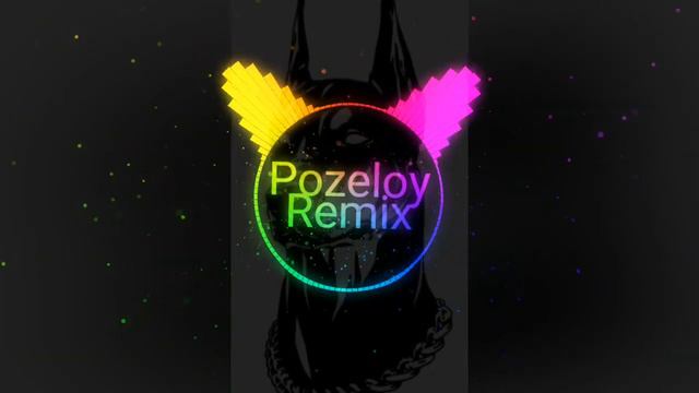 УННВ-Разглагольствуем (remix Pozeloy)