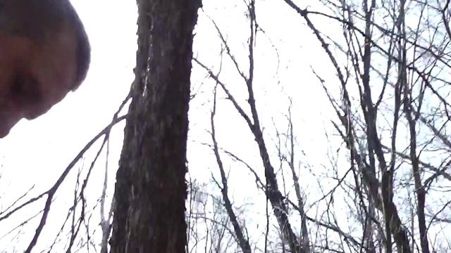 Скромное открытие копарского сезона.