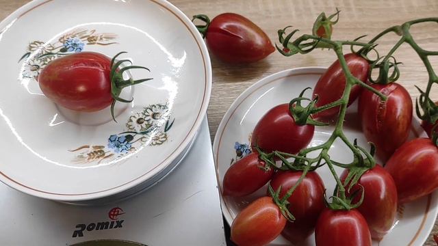 Сорт томата Конфеты сладкие сосульки (Candy Sweet Icicle).🍅👍