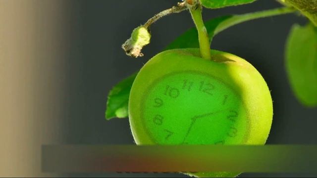 14 Clock Ticking Sound Variations in 30 Seconds
