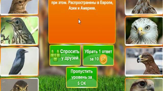 В мире животных. Ответ на 6, 7, 8, 9, 10 уровне.