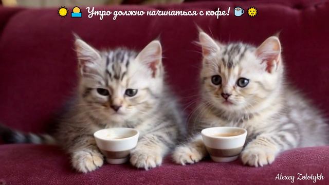 🌞️ Доброе утро! Утро должно начинаться с кофе ☕ Хорошего дня и прекрасной погоды! 🌞