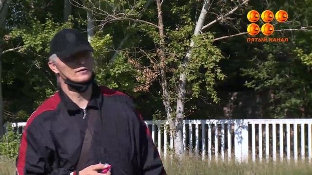 Спорт в шаговой доступности