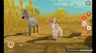 hunter cheetah story part 1