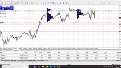 ОНЛАЙН ТРЕЙДИНГ на forex. Инвестируйте и зарабатывайте. Ч.1