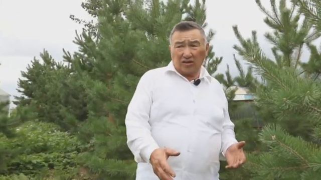 Большие города. Актогайский район (Павлодарская область)