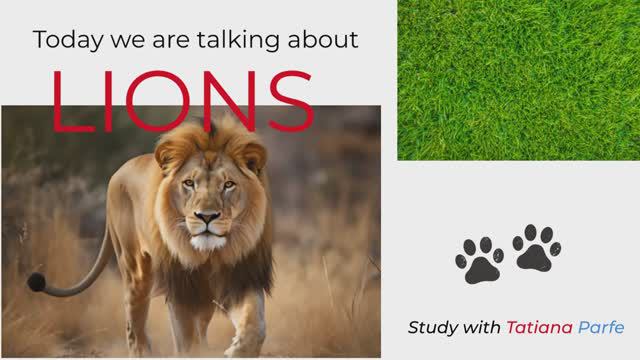 Study English with Tatiana Parfe. Episode 4: Lions