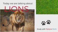 Study English with Tatiana Parfe. Episode 4: Lions