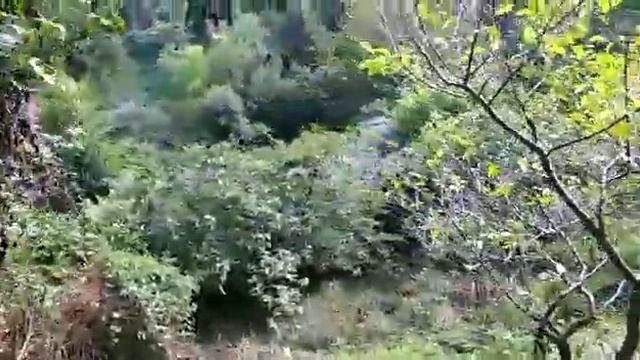 Участок 67 соток - 2 500 000 руб -Центральный р-н Русская-Мамайка Теневой переулок 20к8