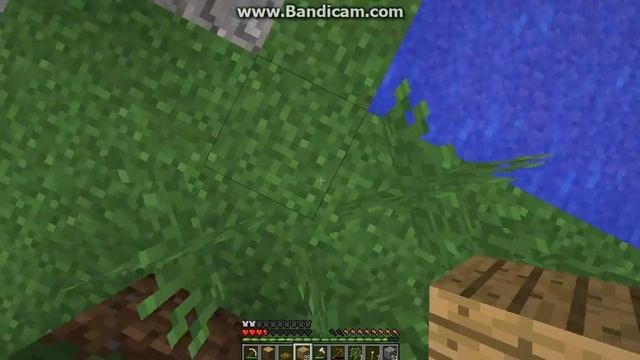 minecraftСОН 2дом