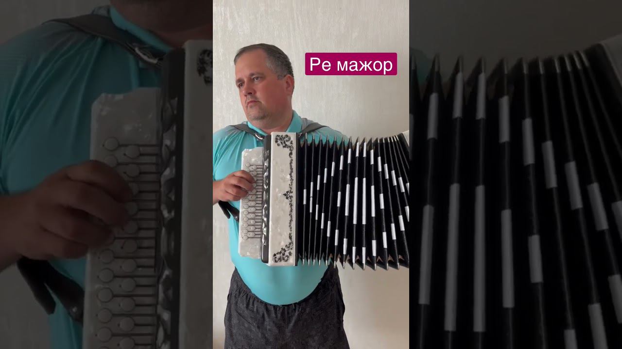 Ре мажор шуйская гармонь! #shortvideo #играйгармонь #купитьгармонь #дмитрийгармонист