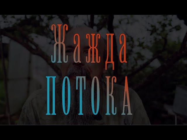 Жажда потока