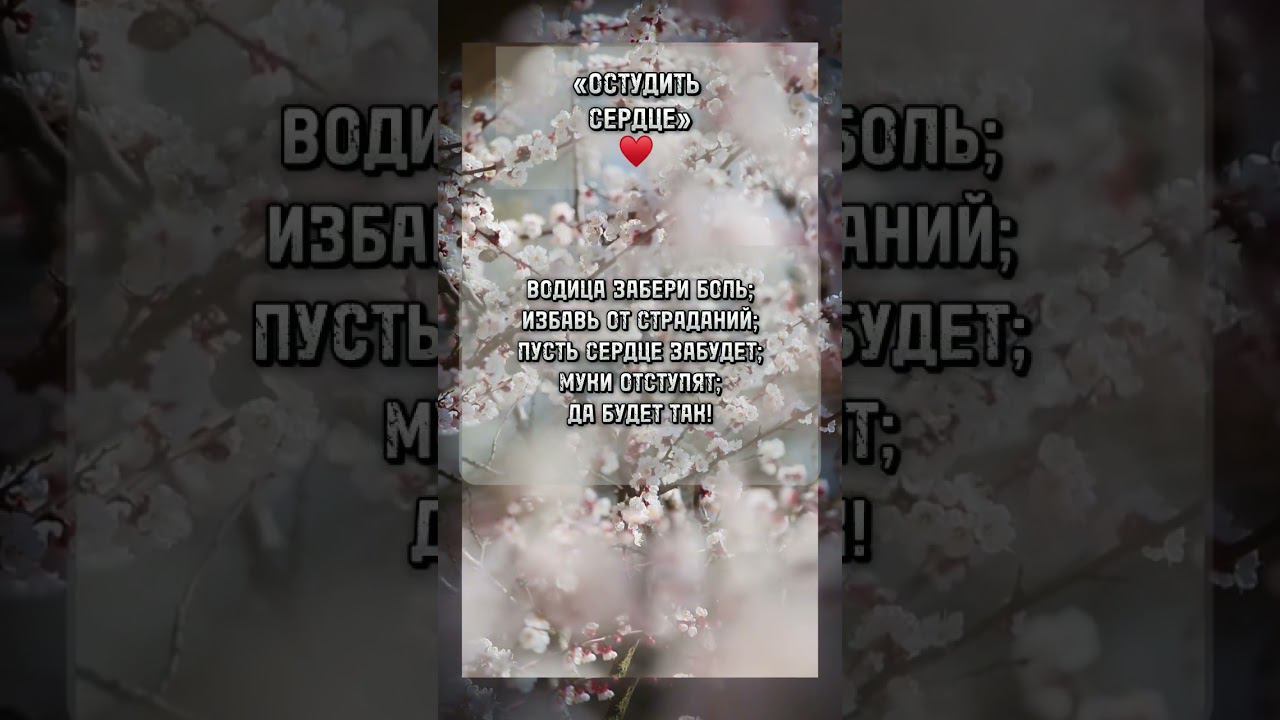 ЗАБУДЬ ЛЮБИМОГО! Простейшая остуда! #светлаямагия #магия #заговор