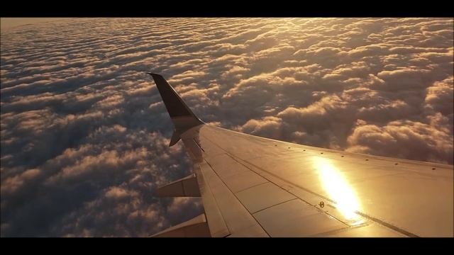 Fly