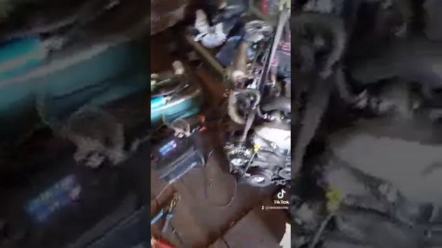 турбо к6а сузуки. готовь сани летом