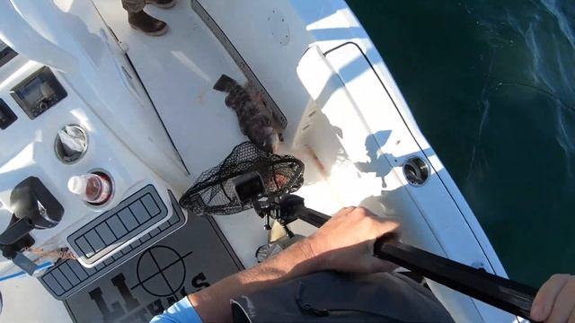 Tautog Tournament win! 1st & 2nd place to almost 10 lbs!