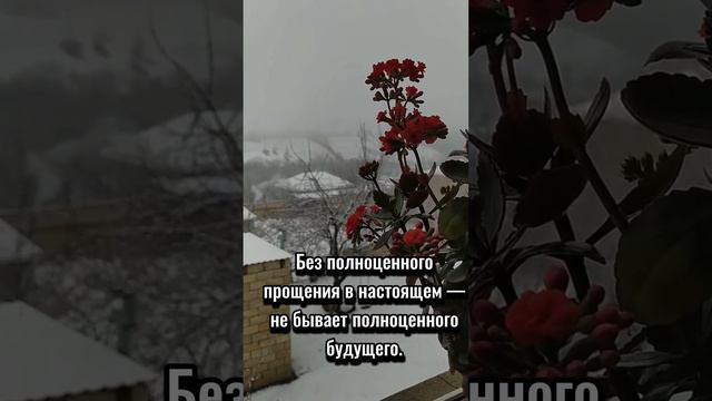 12 мыслей о прощении и непрощении!  Христианское пожелание!