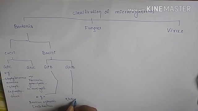 Classification of microorganisms