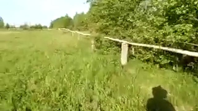 Утро в деревне 2. Дорогаогород забор.