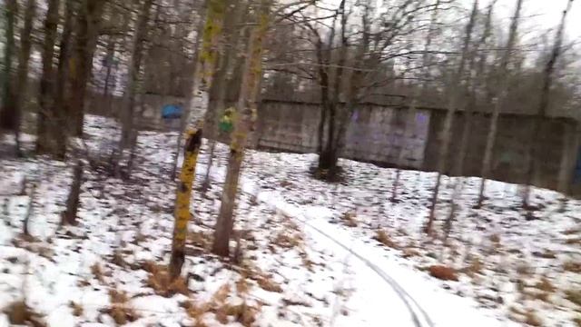 Дружба оляпки и зимородка. новости из мира птиц. попытка обнаружить жилье зимородка.