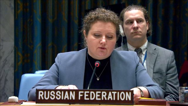 Выступление А.М.Евстигнеевой на заседании СБ ООН по ситуации в Абьее