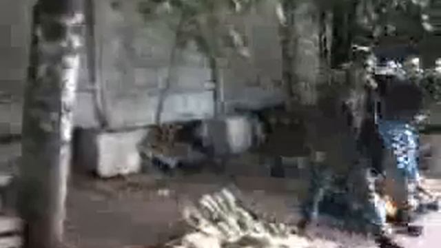 kill hachik