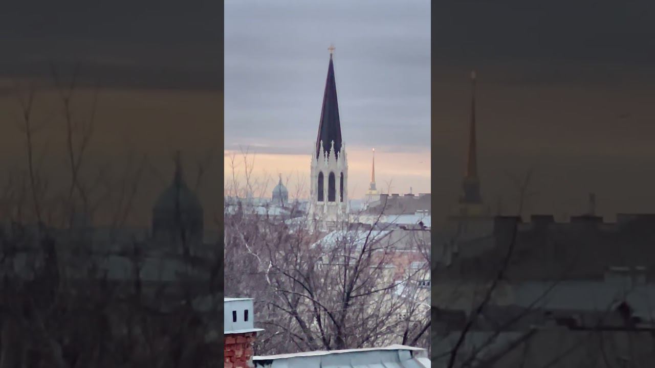 Год на моей крыше ВЕРТ