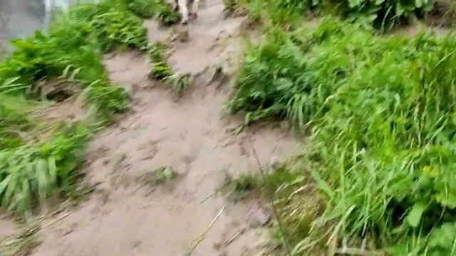 Путешествие выходного дня. 1,5 мужика выбрались покушать с костра в горах.