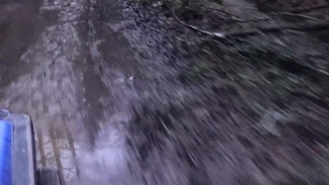 Охота на кабана с лабаза! (Что сниться охотнику)