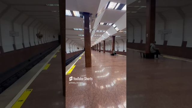 Метро Маршала Покрышкина Новосибирск Центральный район Метрополитен Сибирь Жилье Недвижимость НСК