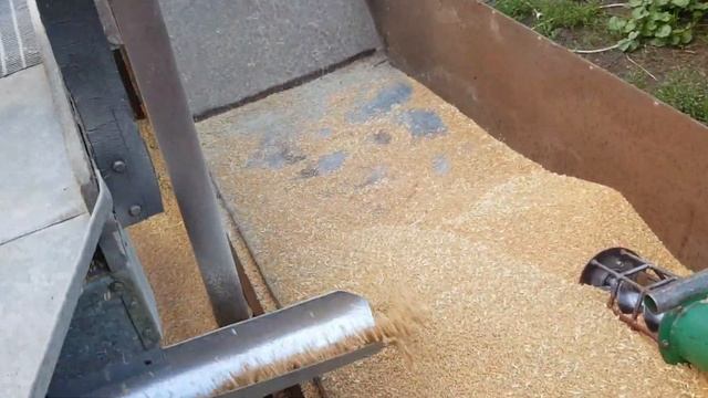 "Трясучка" - самодельная веялка для подготовки посевмата пшеницы.