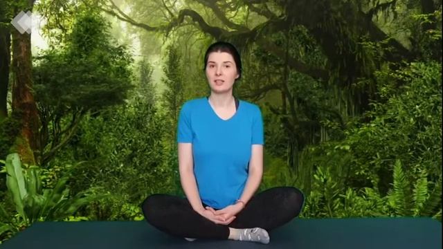 ЩО ТАКЕ ЙОГА?