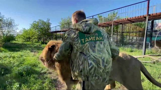 Лев Чук  на свободе СНОВА ПОЧУВСТВОВАЛ СЕБЯ ВОЖАКОМ !!!