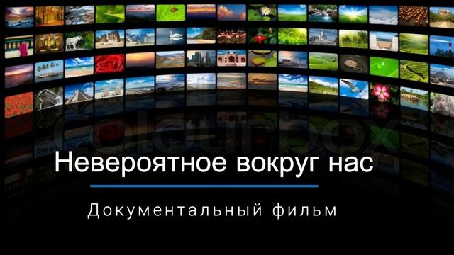 Роботы и искусственный интеллект на службе у человека