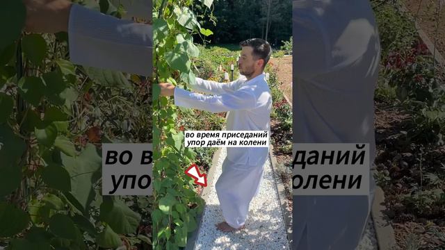Помощь при ревматоидном артрите тазобедренных суставов