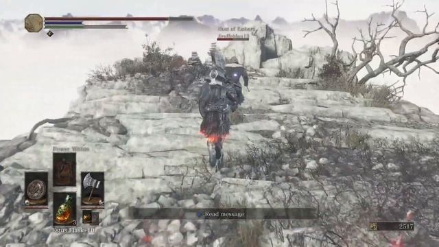 Dark Souls 3: No Need to Git Gud When You Can Just Resummon Phantoms (Raw Clip)