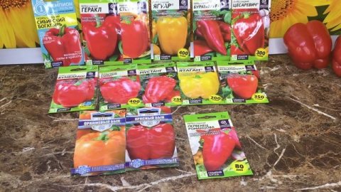 Пора сеять сладкий перец! Не ошибитесь с выбором сорта сладкого перца!