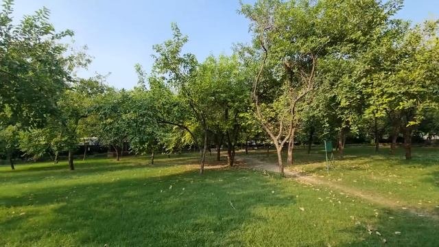 DJI OM 4 - Perfect Mobile Gimbal? | Detailed Review