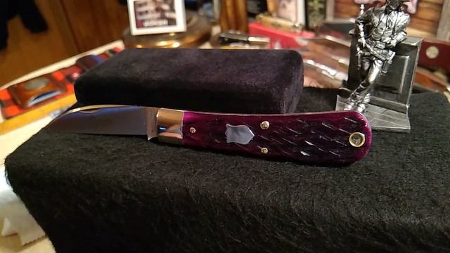 2020 GEC Tidioute #470120 Viper Swayback (Black Plum Bone)