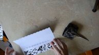 Wedding wishes by Veronika Galenko for The Robin's Nest