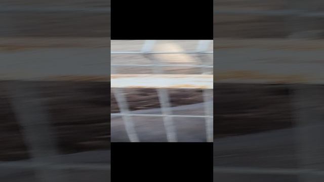 чисто хобби🫶