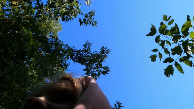 VID_20240812_170329.mp4