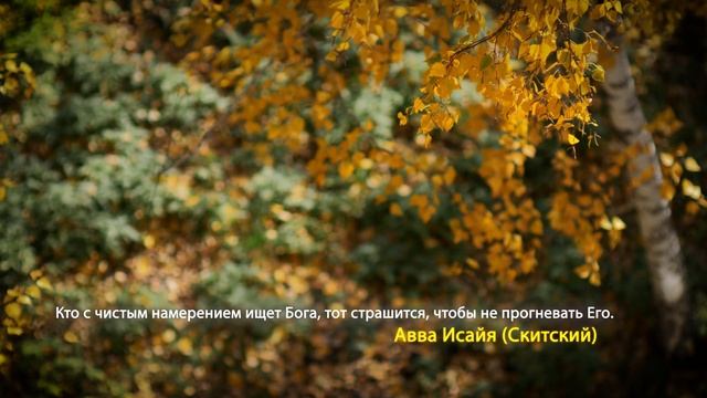 2020 10 08 Цитаты святых